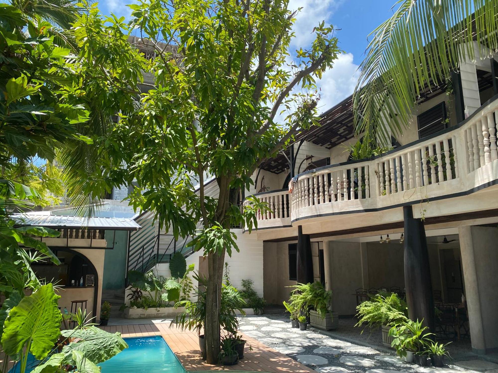 Zinnia Maafushi - Inclusive Airport Roundtrip - Snorkeling - Picnic - Sandbank For 2 Adults With Min 4-Nights Stay - Applicable For Bookings Made From 1St June 2025 Stay Period Till 31St Oct 2025 Ngoại thất bức ảnh